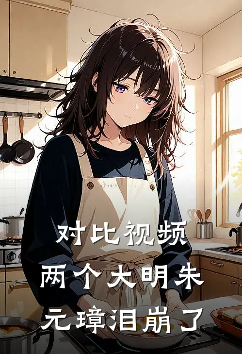 对比视频：两个大明朱元璋泪崩了